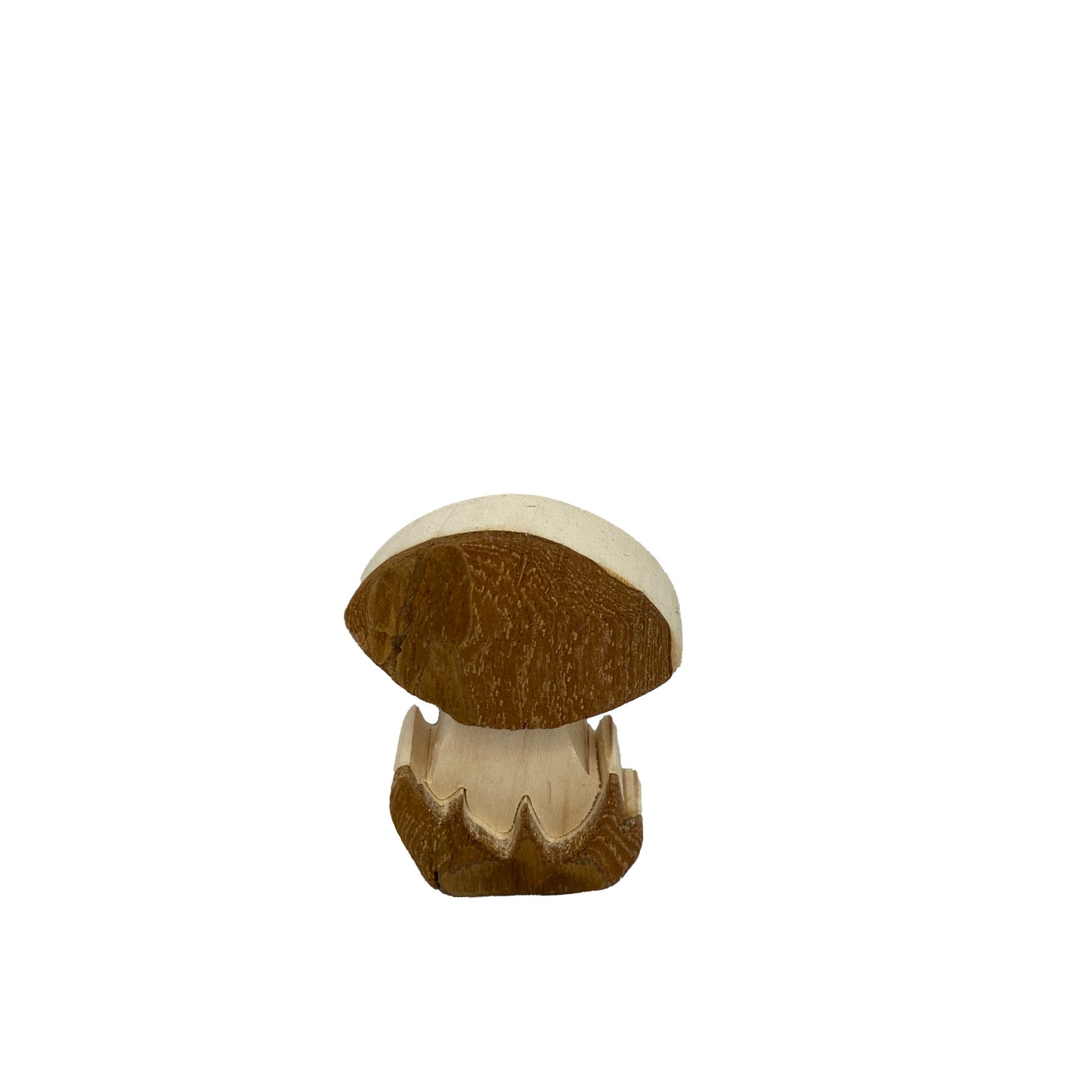 Bark Mushroom Small