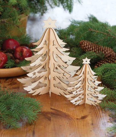 Lasercut Wood 3D