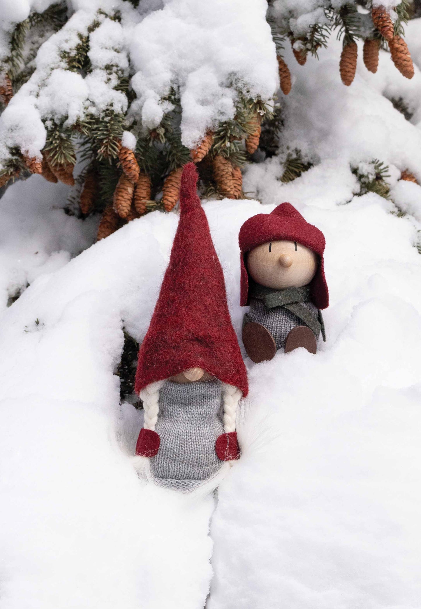 Asas Tomte Hugo
