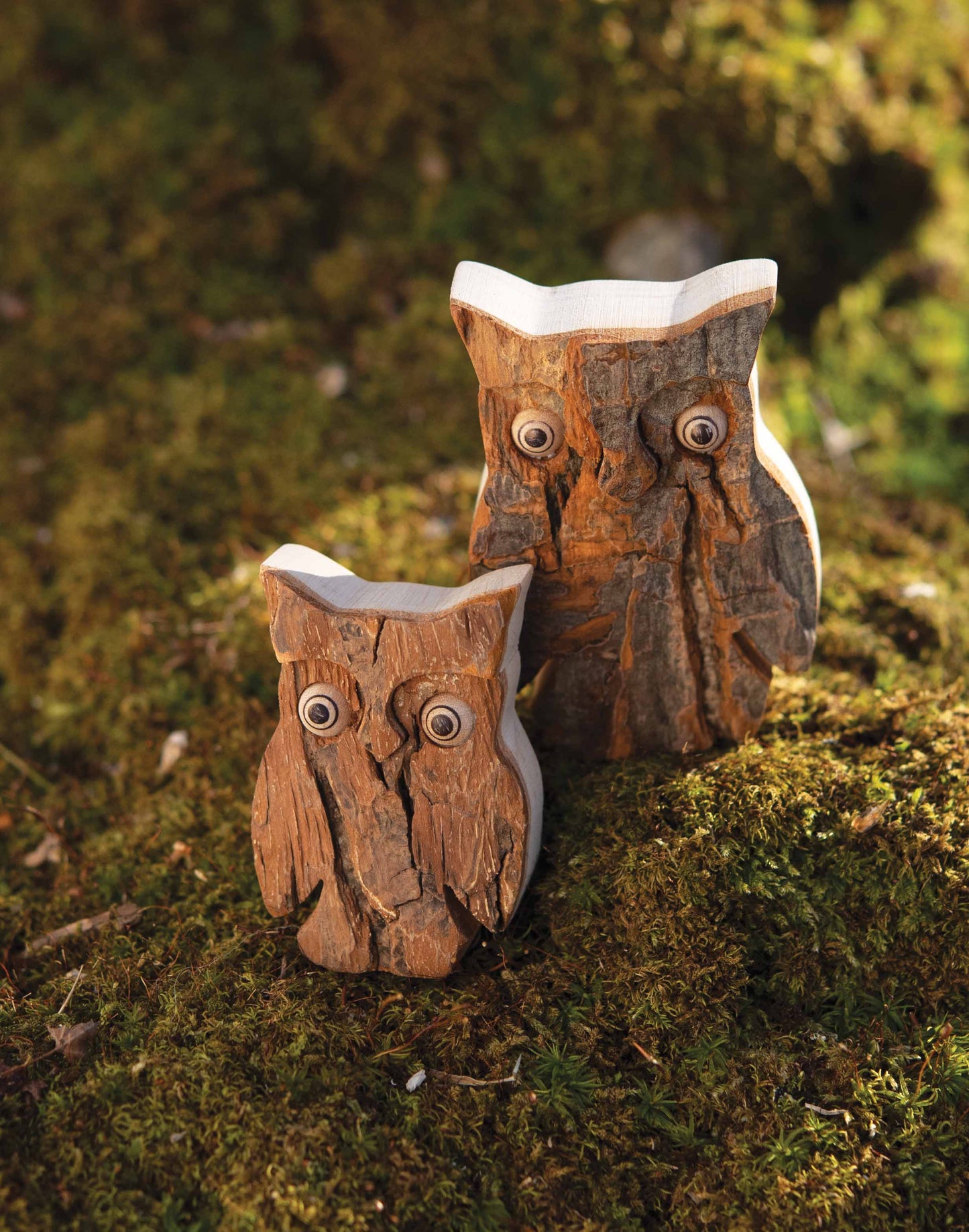 Bark Owl