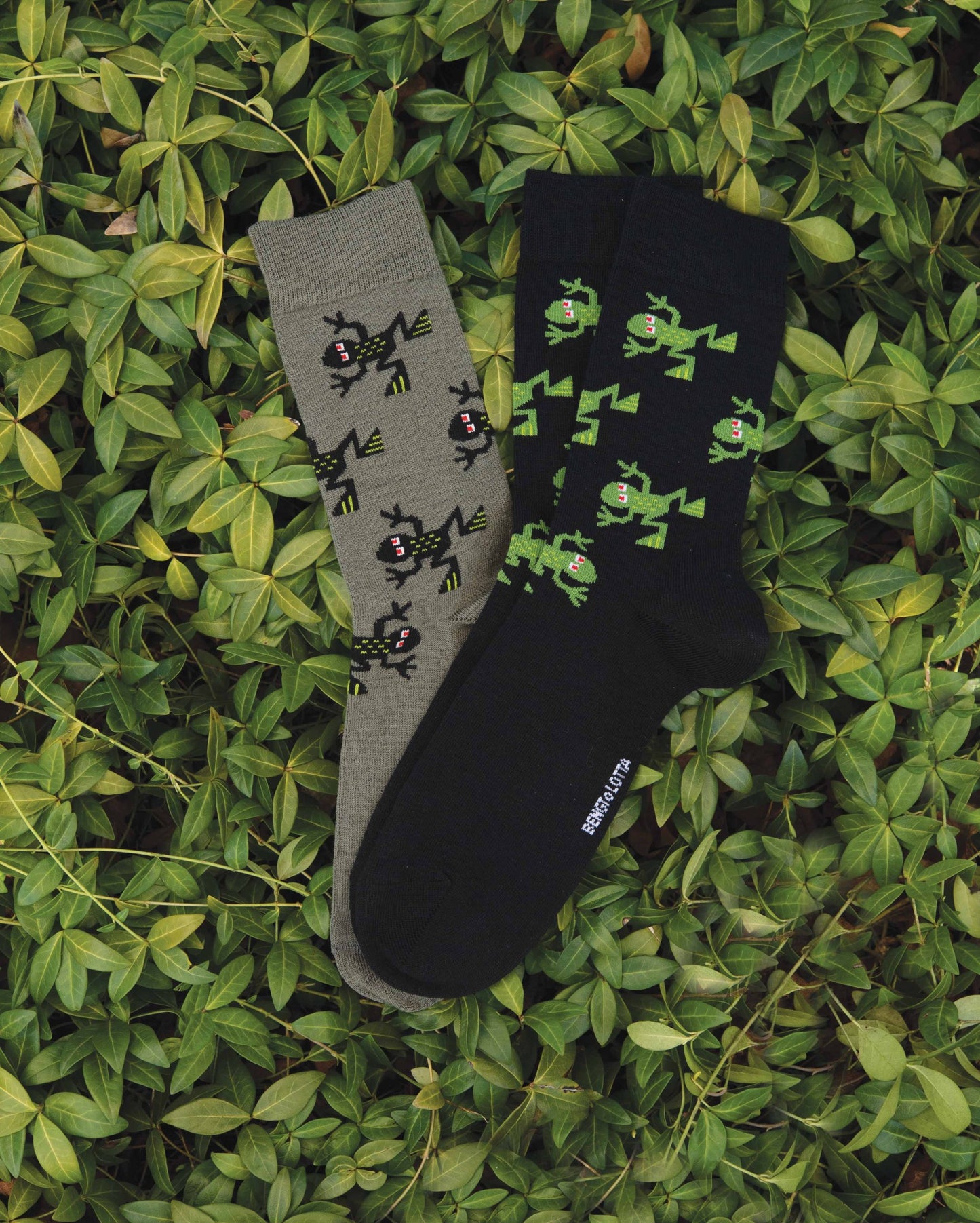 B&L Socks Frog