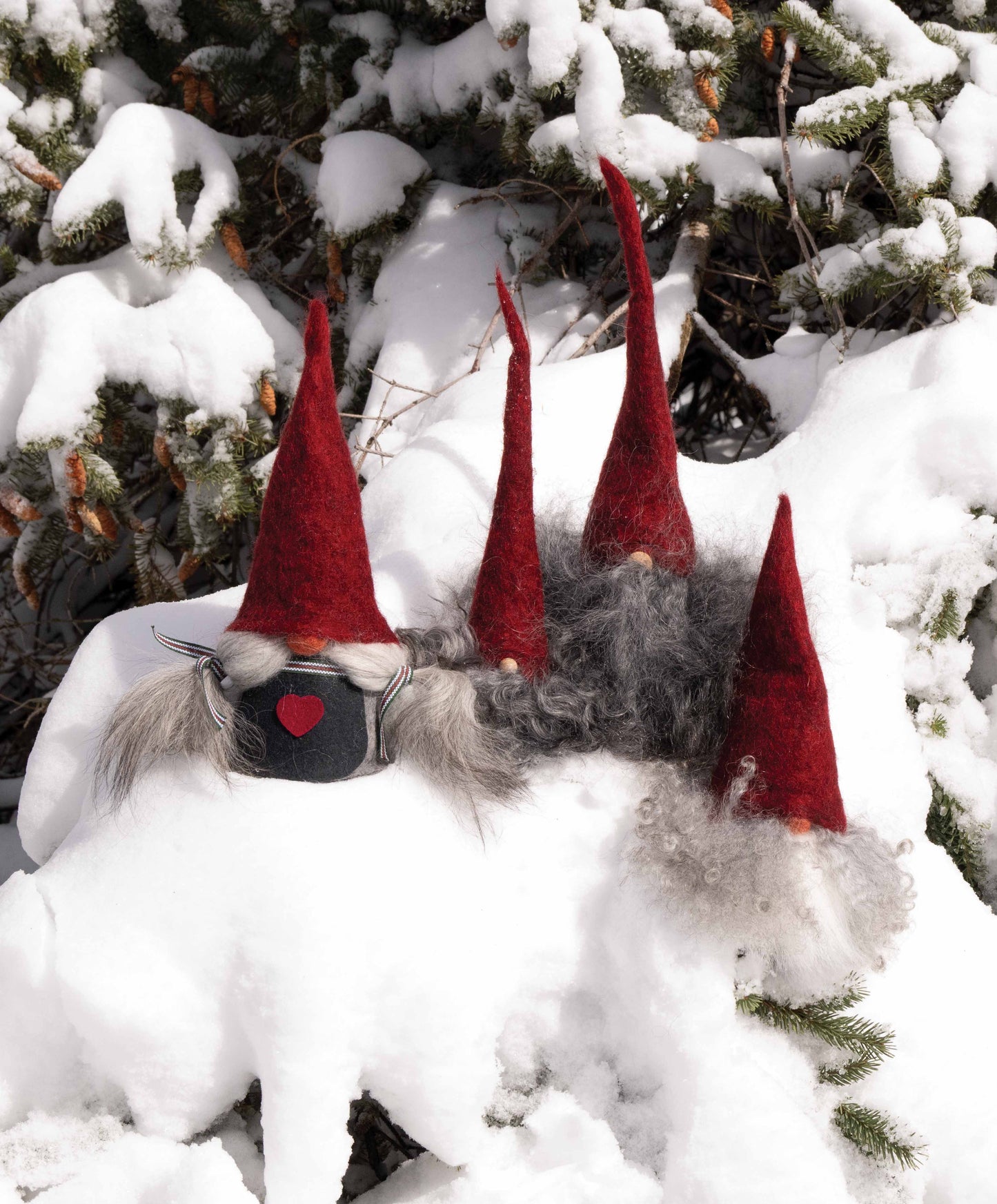 Asas Tomte Skaggtomten