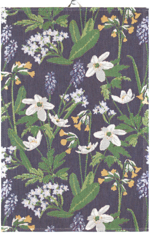 Ekelund Spring