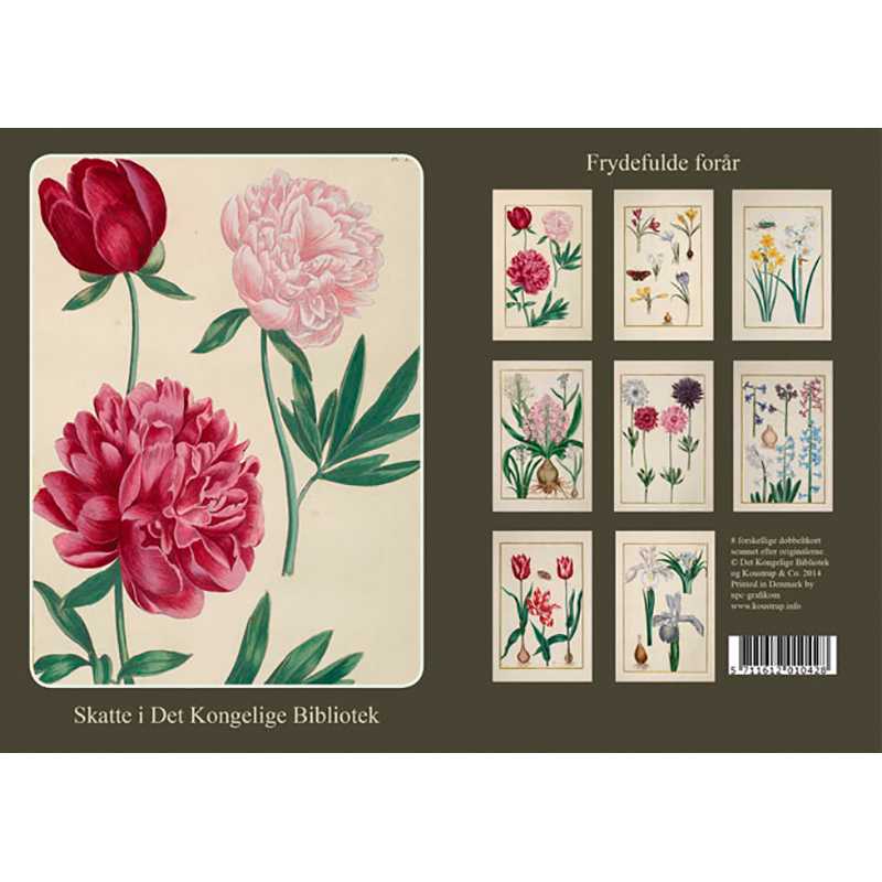 Note Cards Joyous Spring