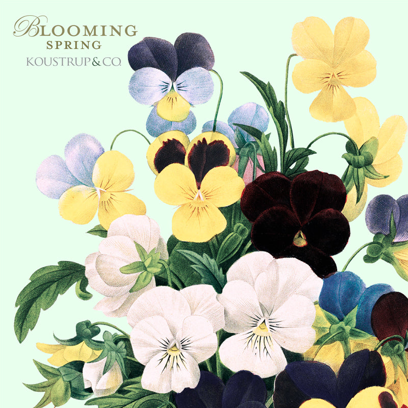 Note Cards Blooming Spring