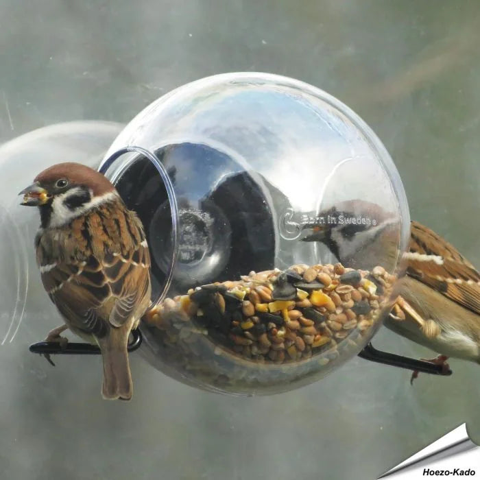 Born Birdfeeder Born in Sweden