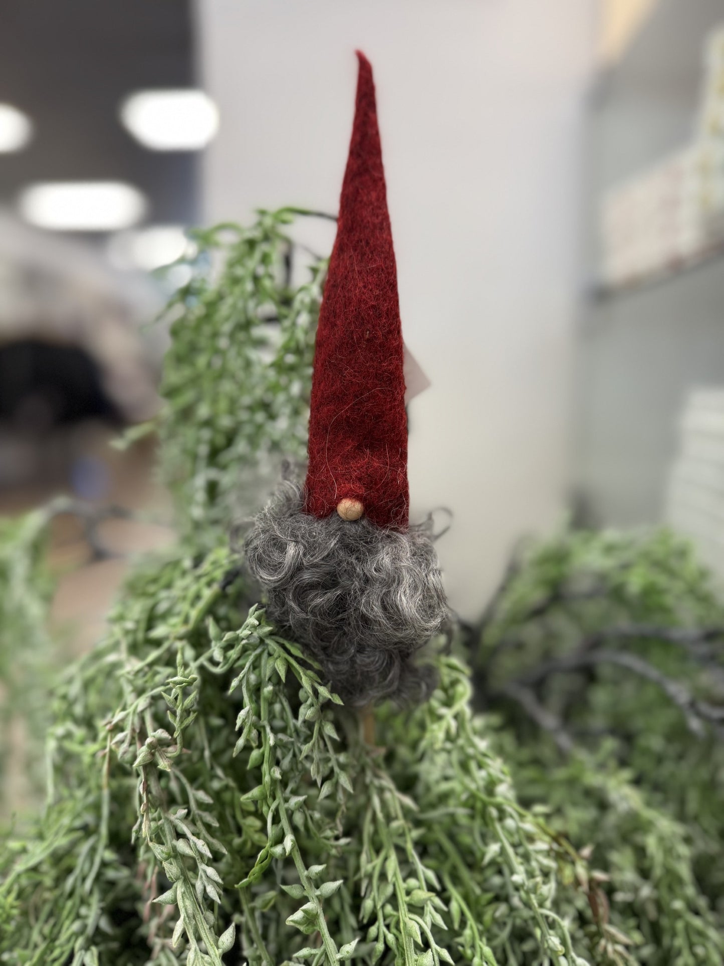 Asas Tomte Blomkvist