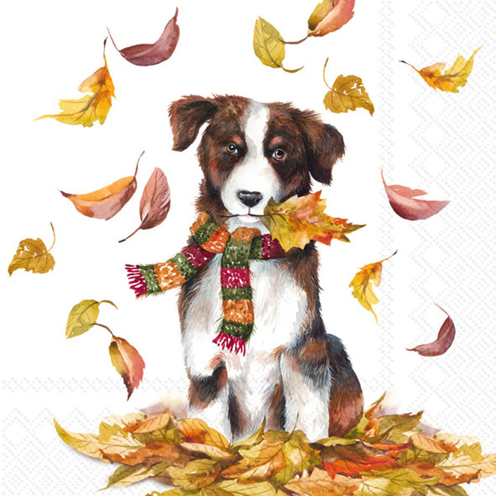 Dog Having Fun Beverage Napkins