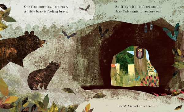 Home A Peek Through Picture Book