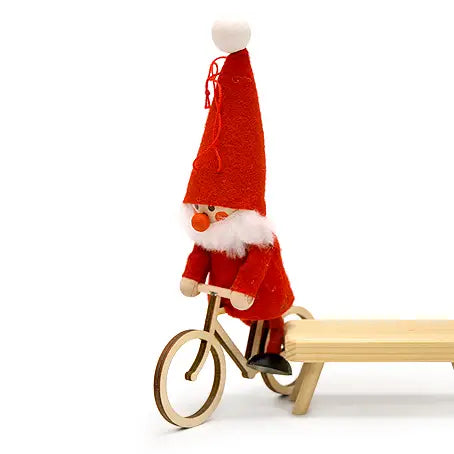 Elf on Bike