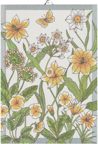 Ekelund Daffodil