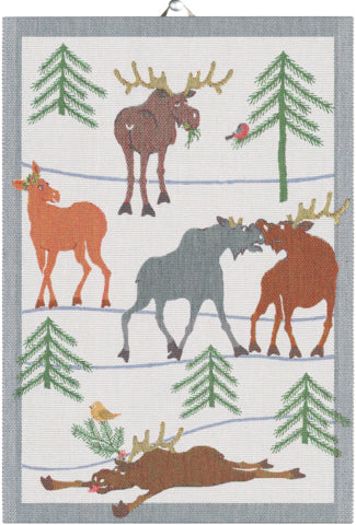 Ekelund Clumsy Moose