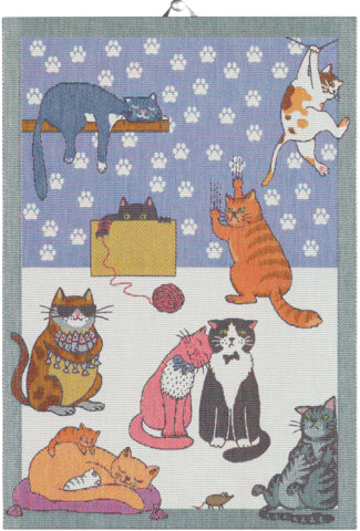 Ekelund Cats Fun