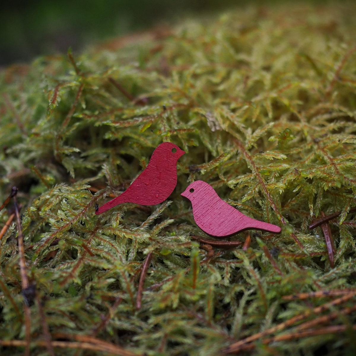 Polarsense Sielu Stud Earrings