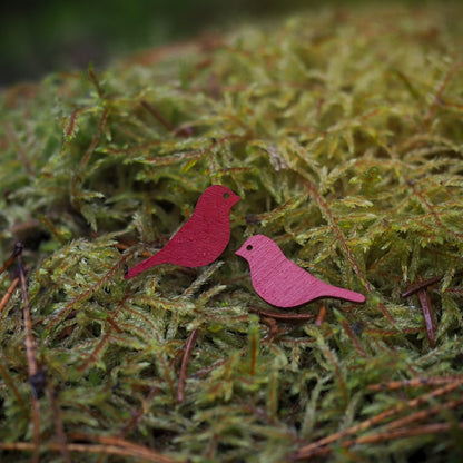 Polarsense Sielu Stud Earrings