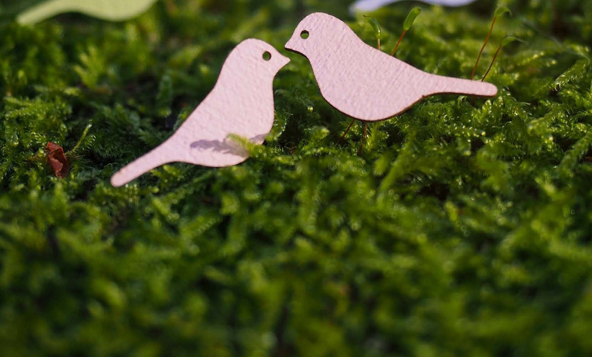 Polarsense Sielu Stud Earrings