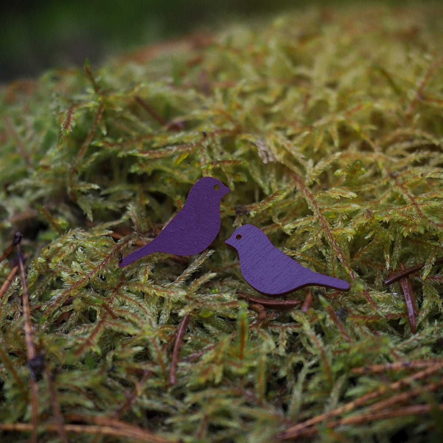 Polarsense Sielu Stud Earrings