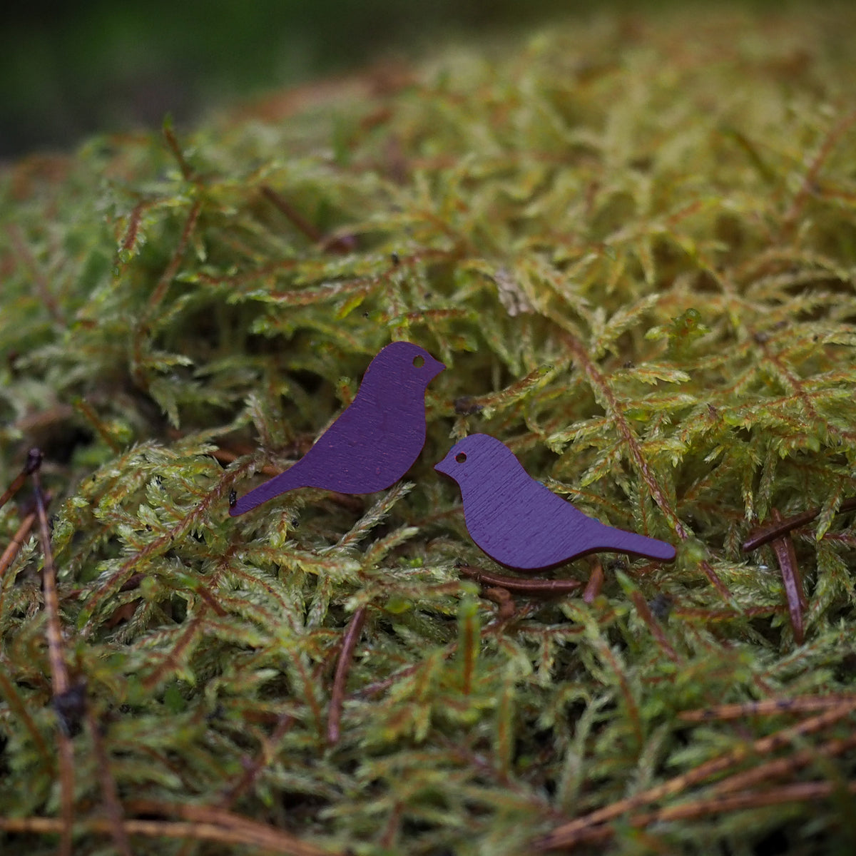 Polarsense Sielu Stud Earrings