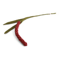 Gry & Sif Flower Amaranth Dusty Red