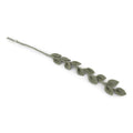 Gry & Sif Flower Branch Eucalyptus