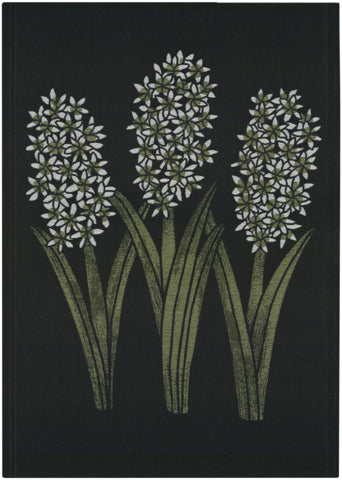 Ekelund Hyacint Orientalis