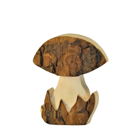 Bark Mushroom Medium