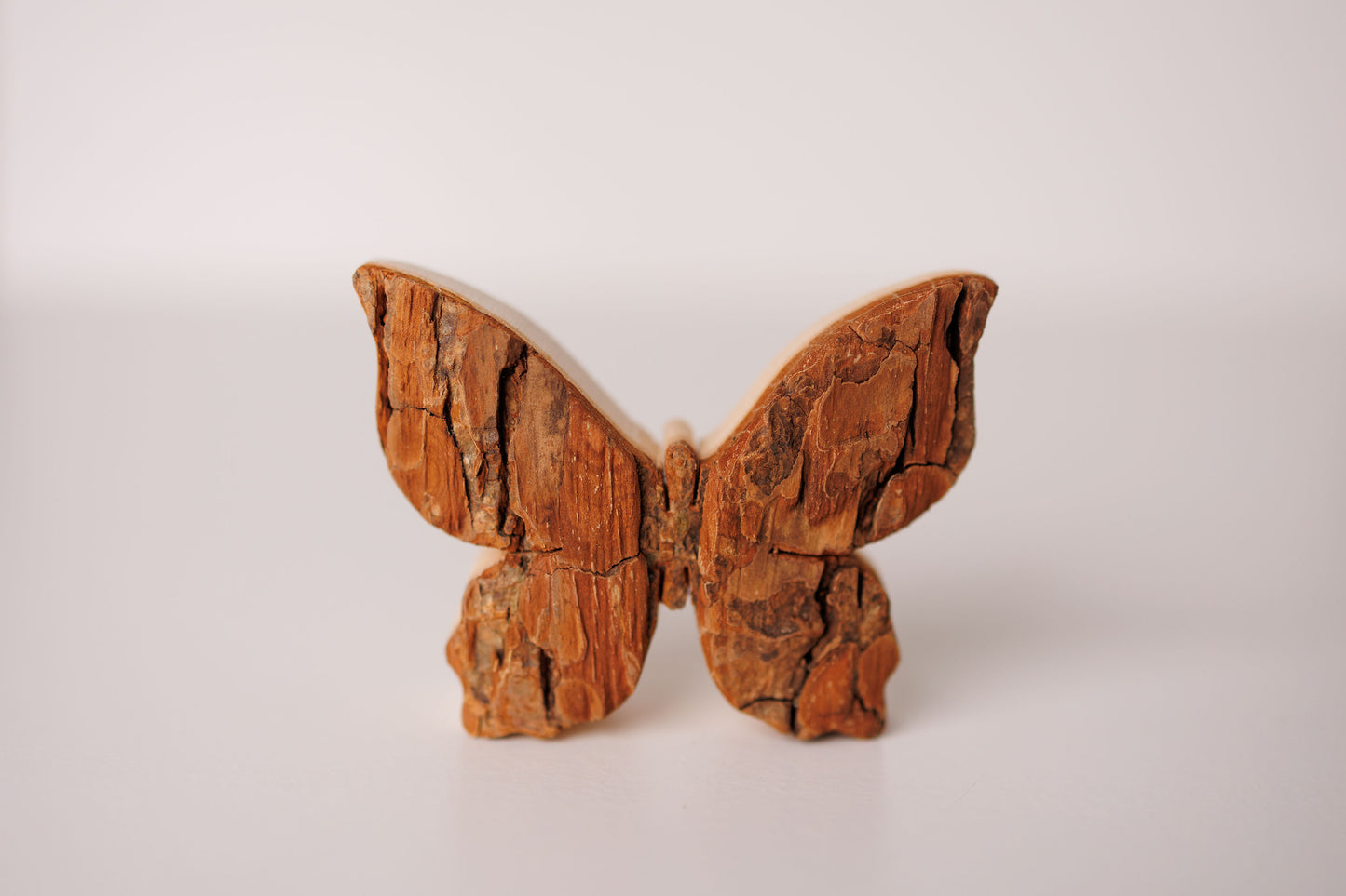 Bark Butterfly