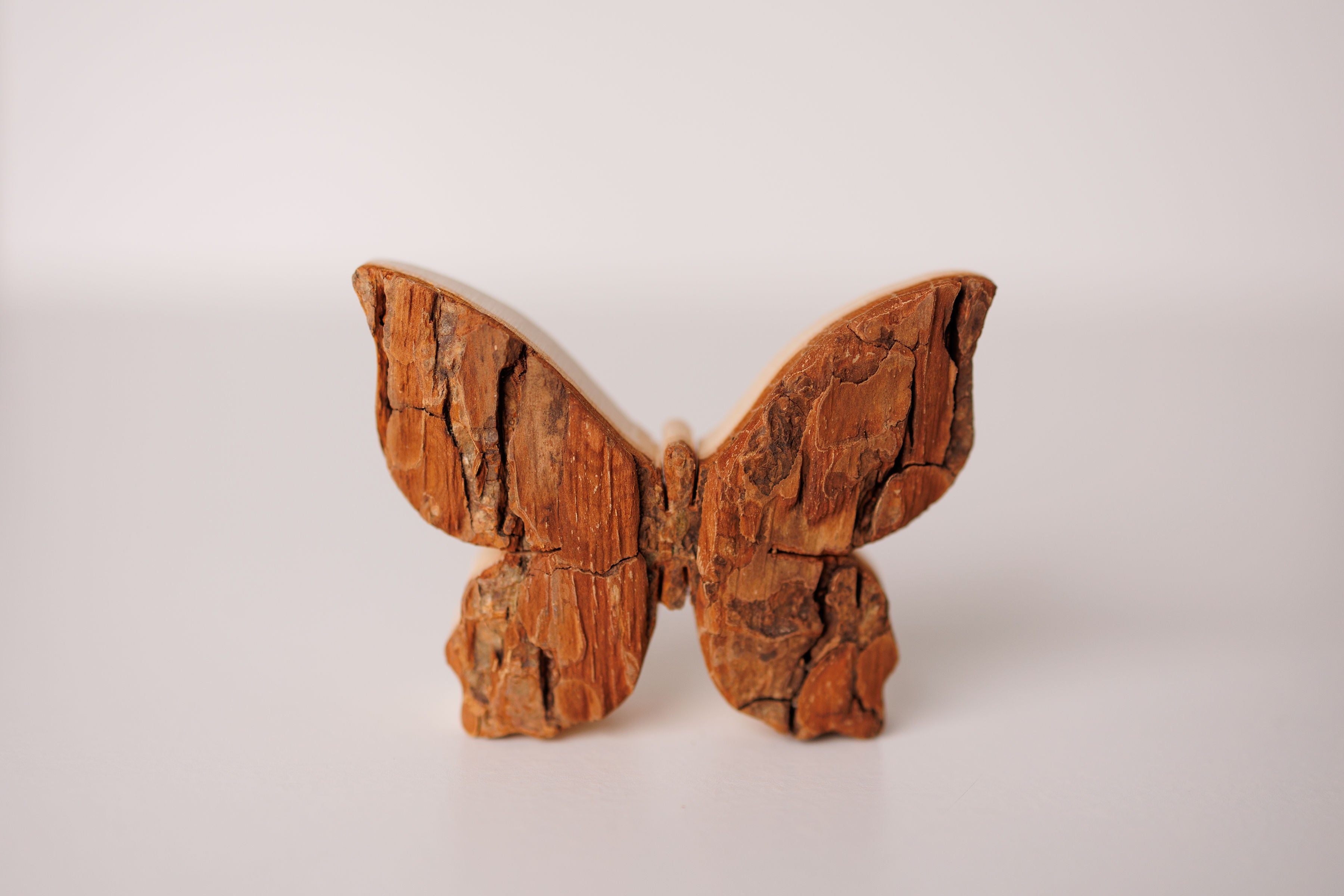 Bark Butterfly