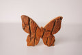 Bark Butterfly