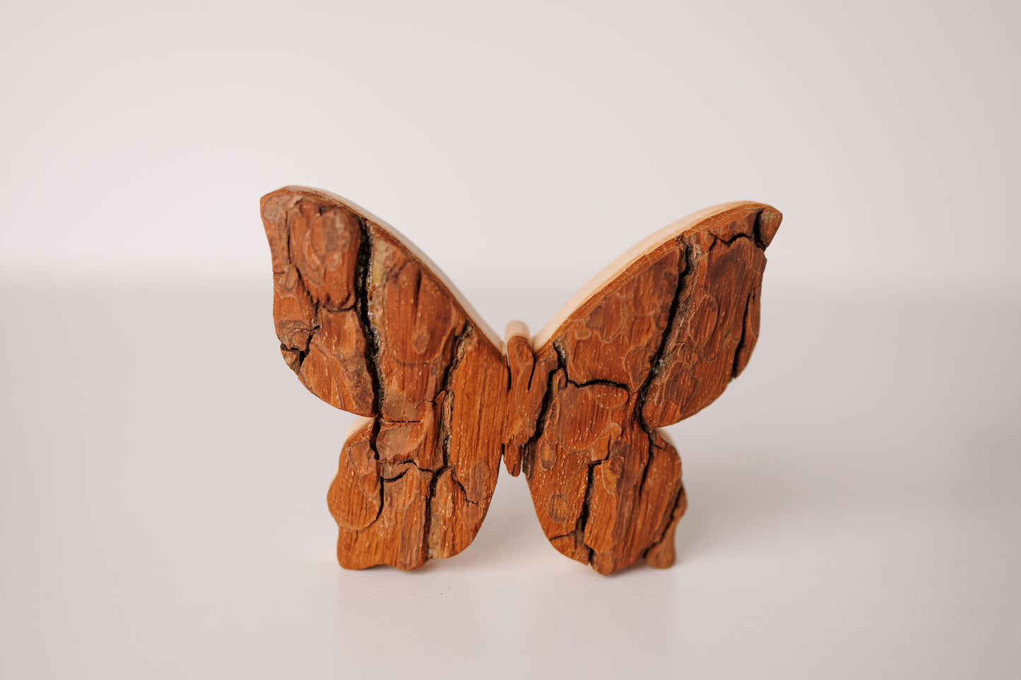 Bark Butterfly