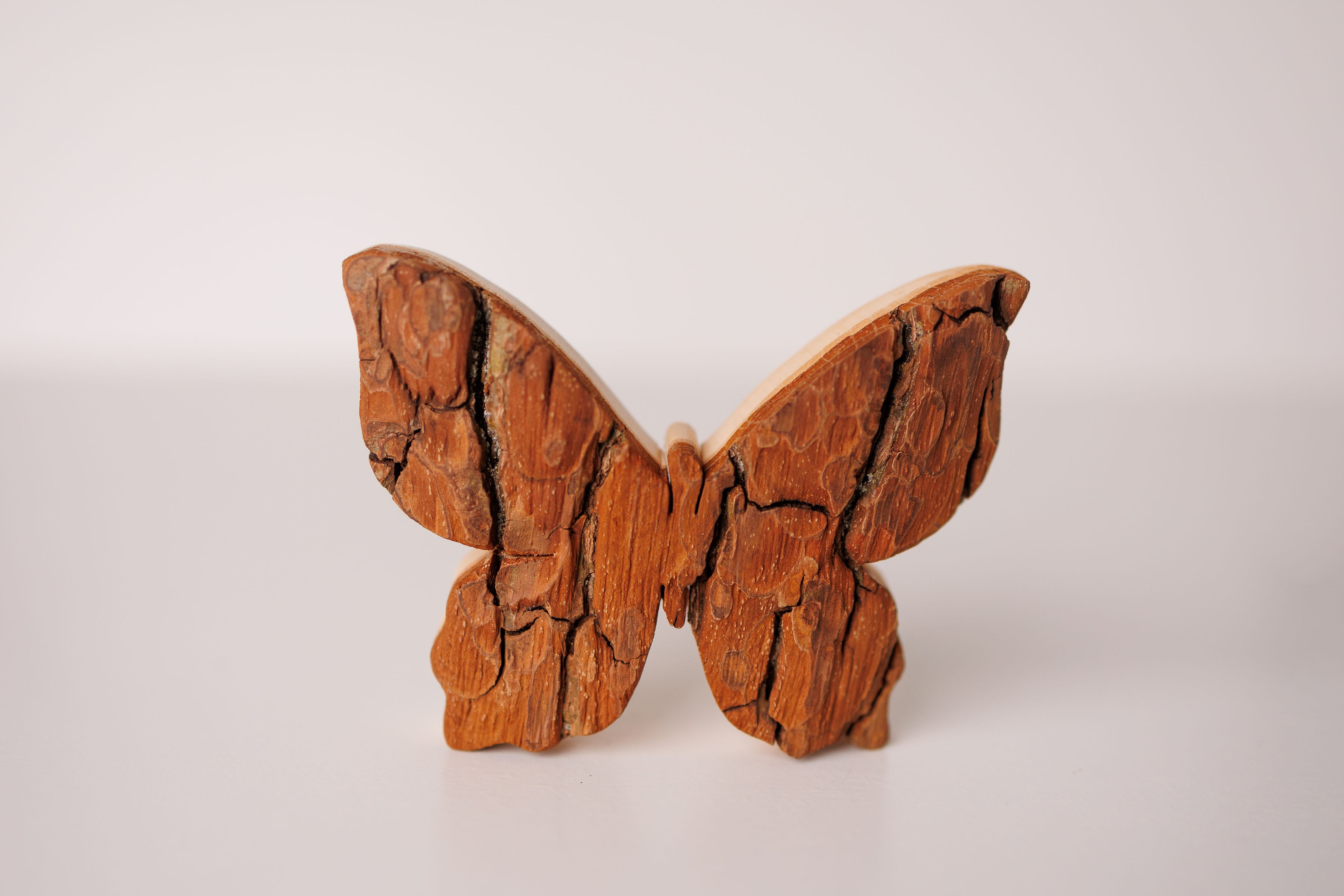 Bark Butterfly
