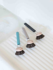Dish Brush Nature Smart!