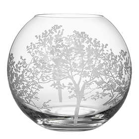 Orrefors Organic Vase Sm