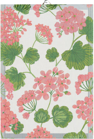 Ekelund Pelargonia