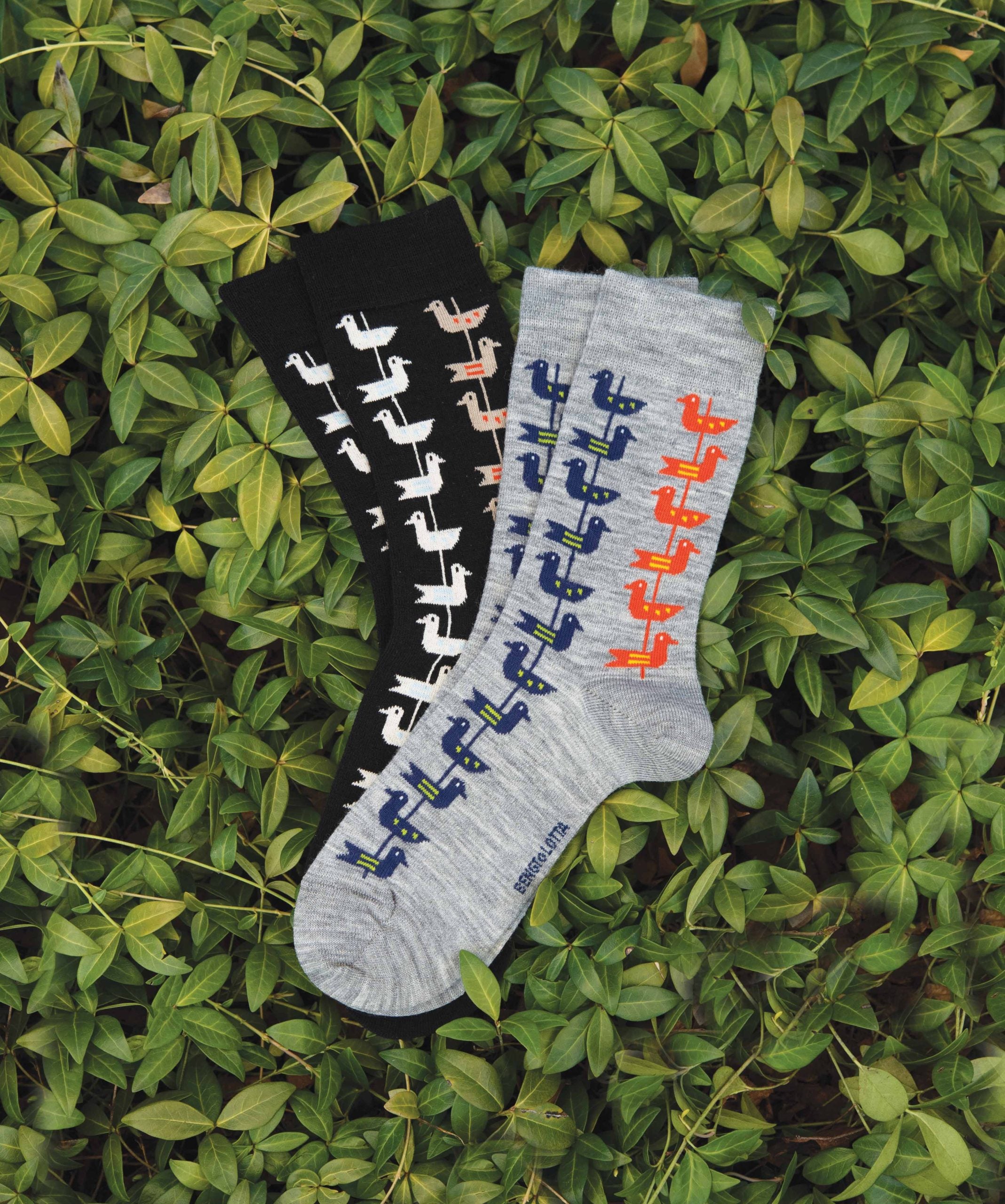B&L Socks Shorebirds
