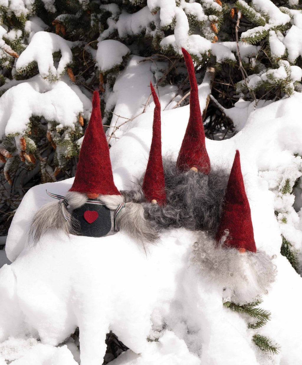Asas Tomte Skaggtomten