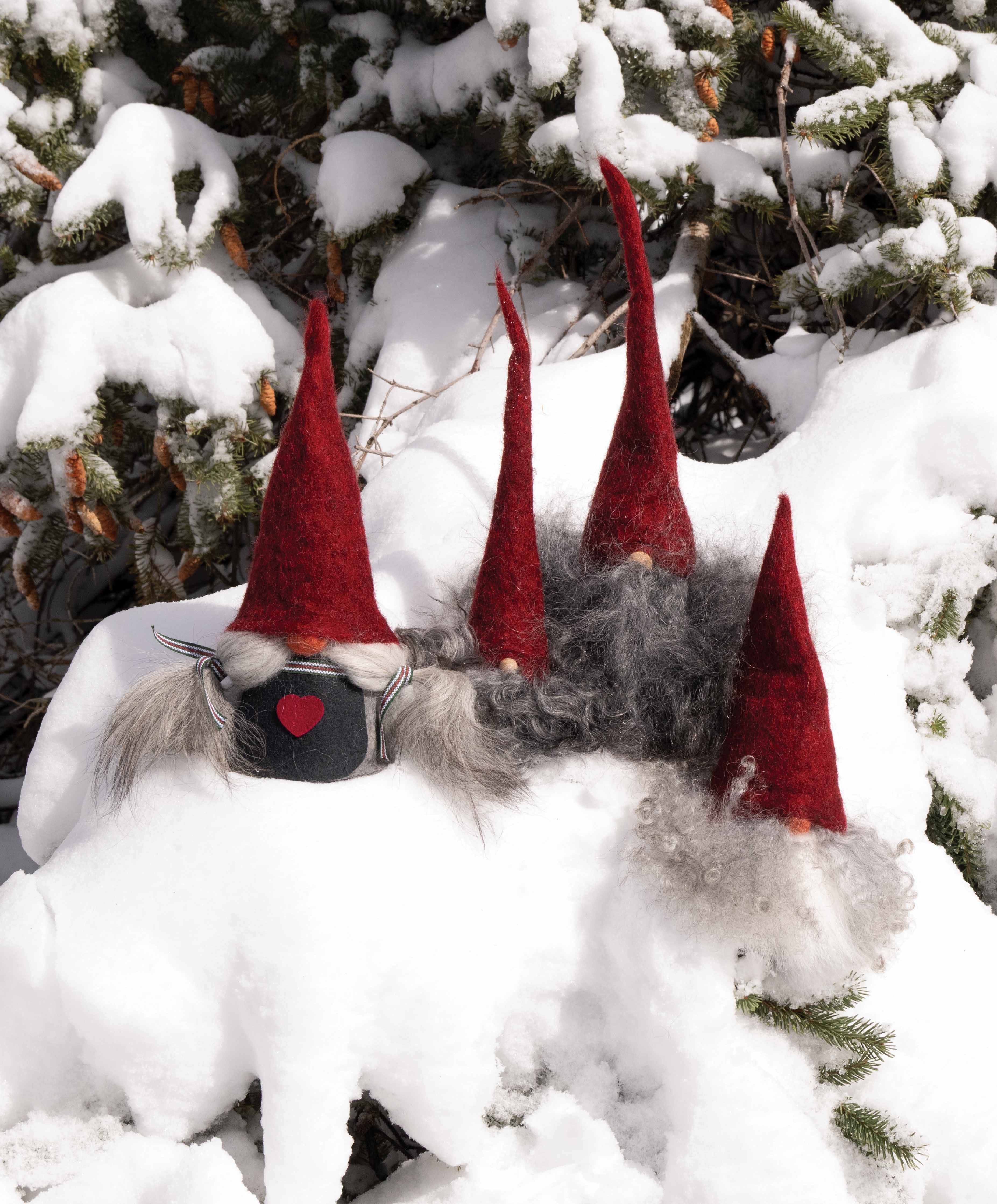 Asas Tomte Skaggtomten