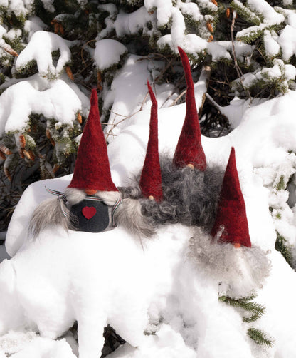 Asas Tomte Skaggtomten