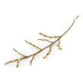 Gry & Sif Flower Branch with Green Berries