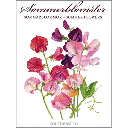 Notecards Summer Flowers