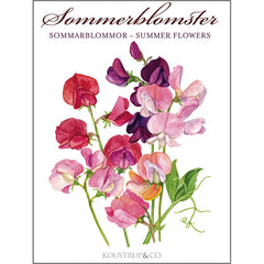 Notecards Summer Flowers