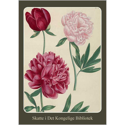 Note Cards Joyous Spring