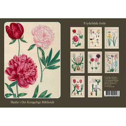 Note Cards Joyous Spring