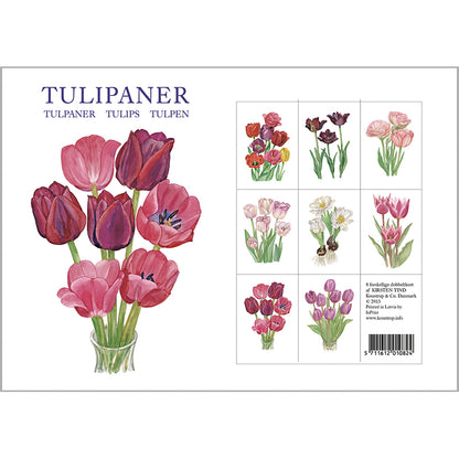 Notecards Tulips