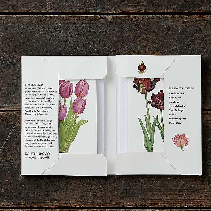 Notecards Tulips