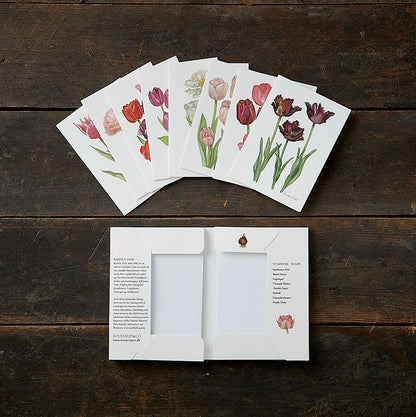 Notecards Tulips