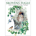 Notecards Birds of the Forest