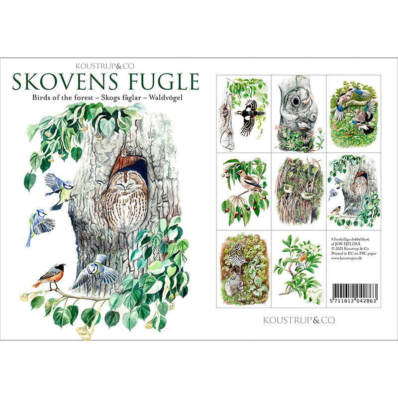Notecards Birds of the Forest