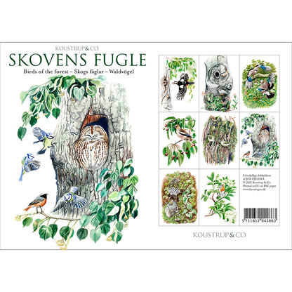 Notecards Birds of the Forest