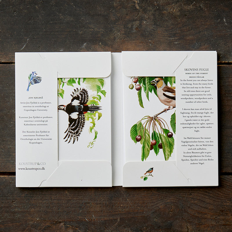 Notecards Birds of the Forest